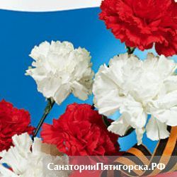 «Живая нить»