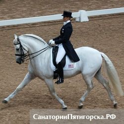 Неделю начал турнир по выездке
