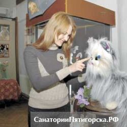 Краеведческий музей приглашает на выставку кошек