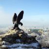 Другие праздничные мероприятия в Пятигорске посвященные НОВОМУ ГОДУ!!
